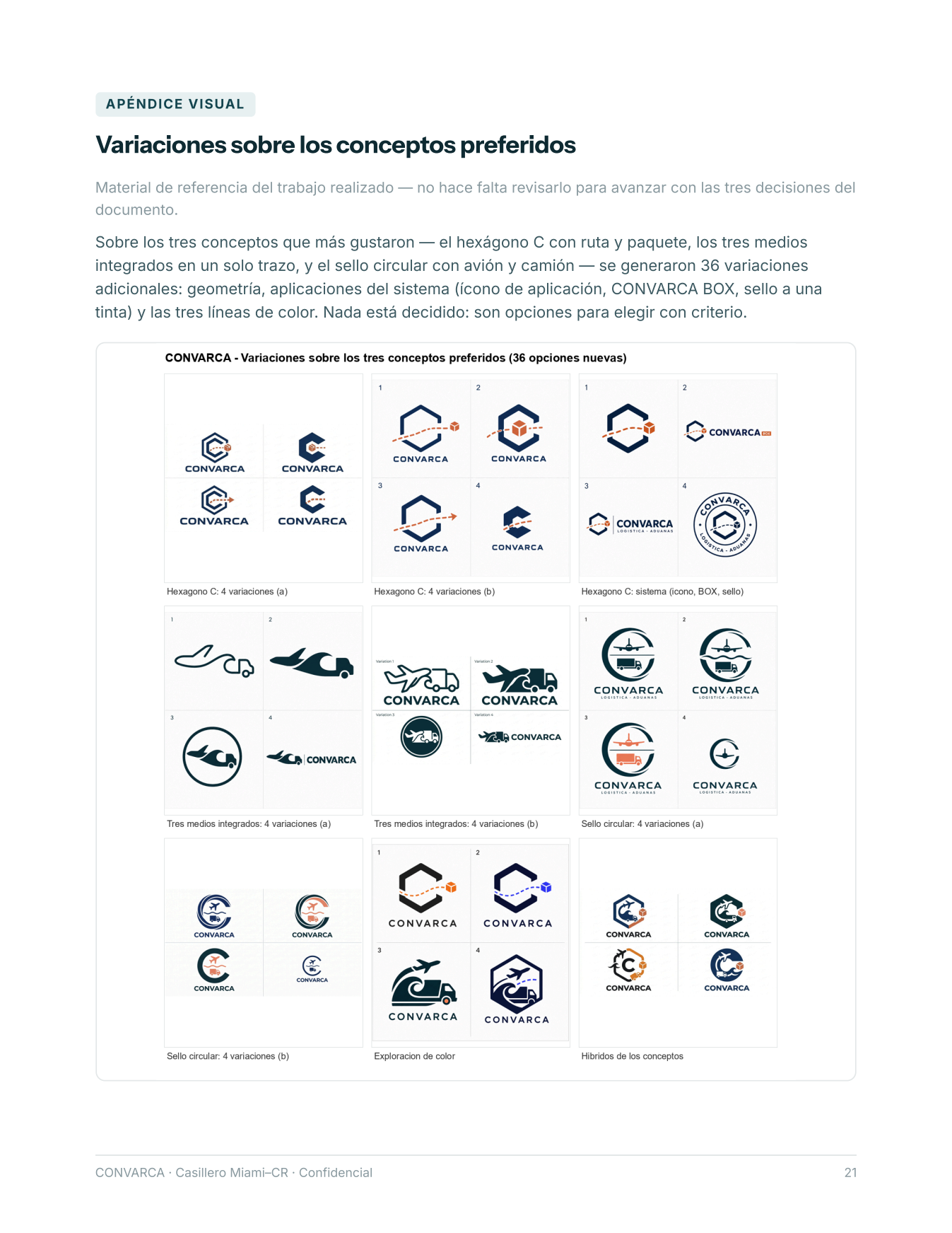 Lámina: 36 variaciones sobre los conceptos preferidos